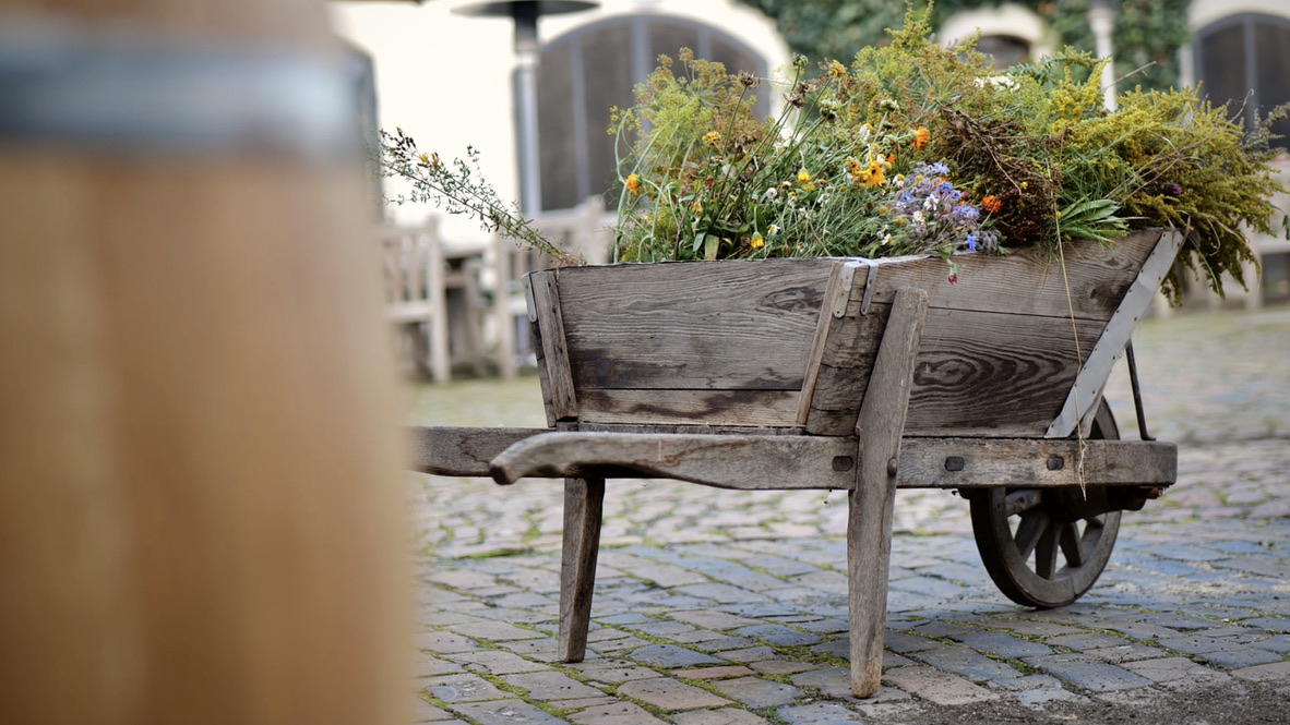 5C467AEB-4238-4B80-8731-8D93300AD317_1_105_c