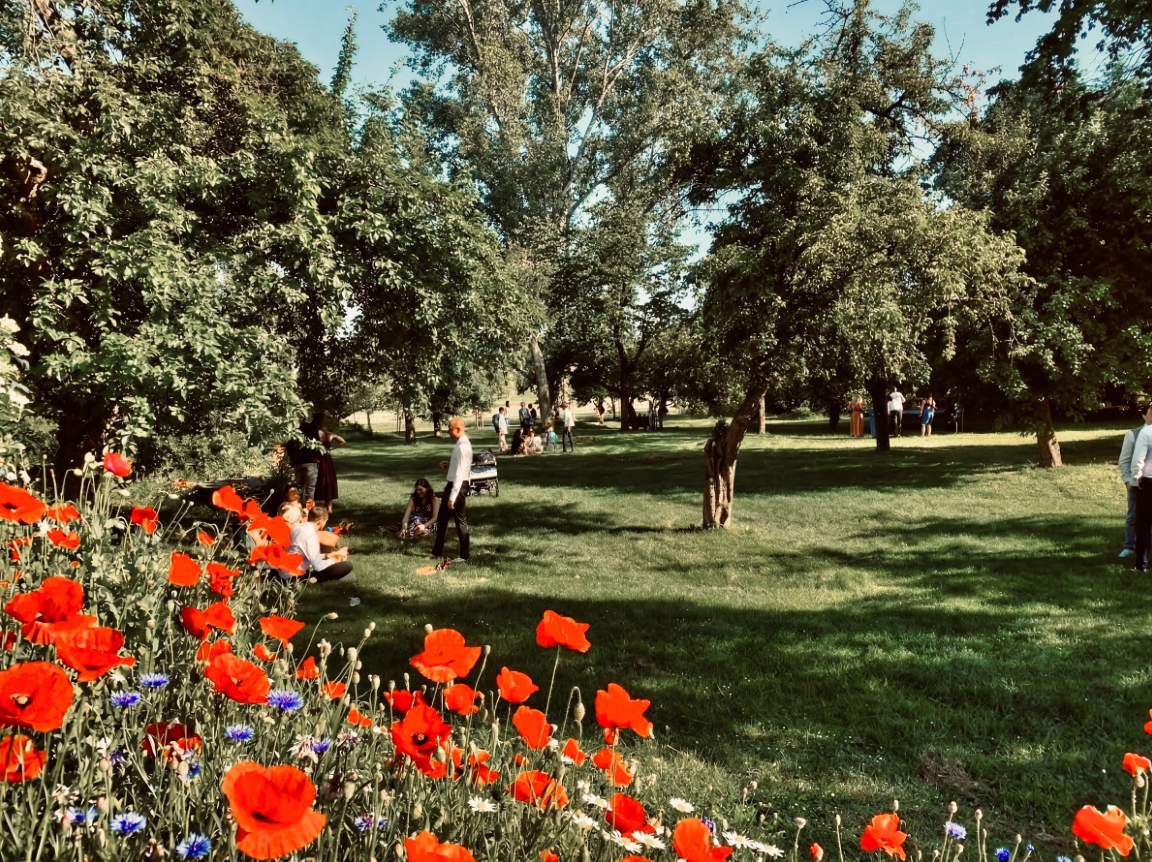 59B882D7-C0EA-4B10-A1D1-AD539F8EB31F