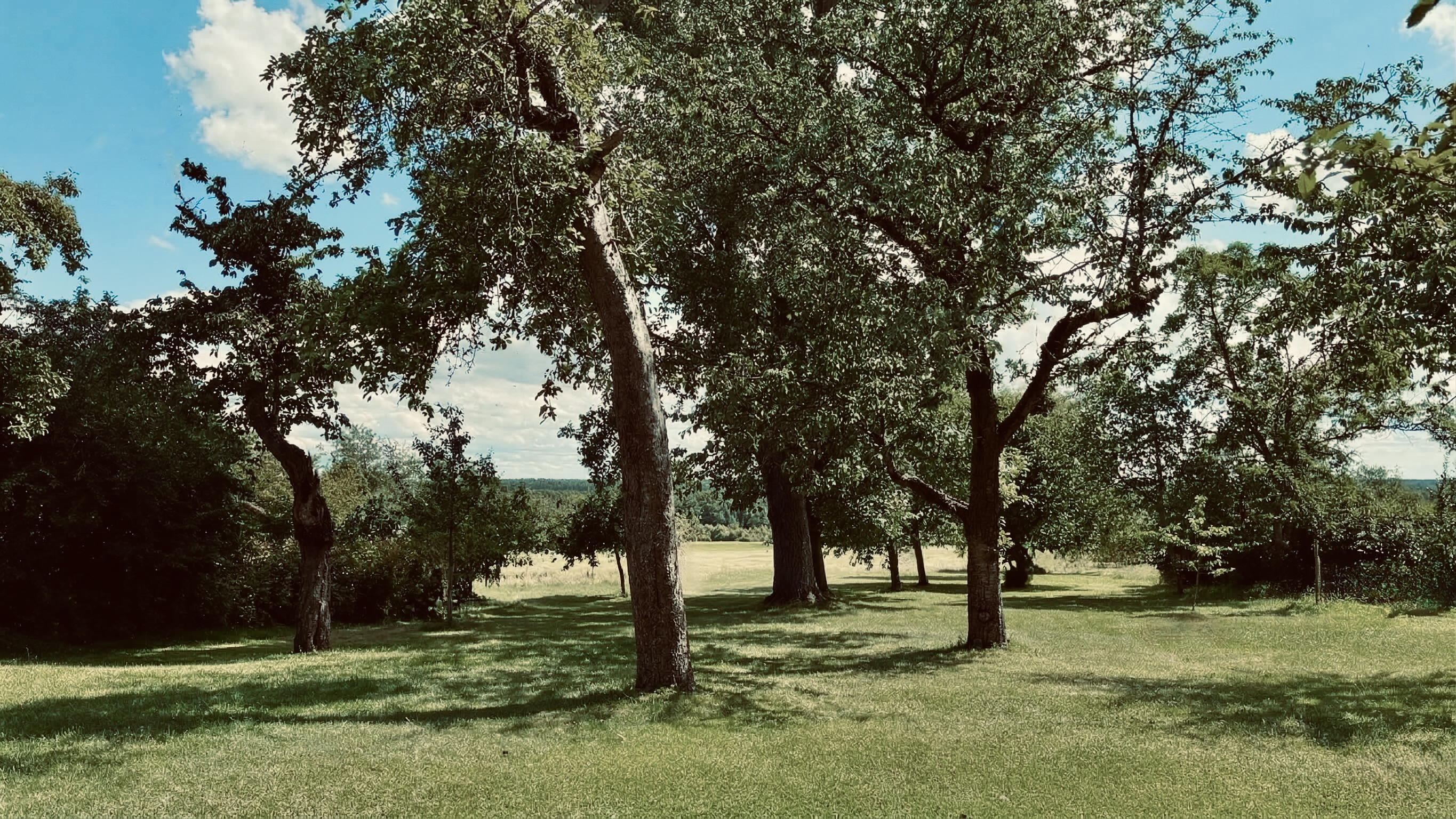 6228F168-8349-4E11-8910-0D75690AFAB5_1_201_a