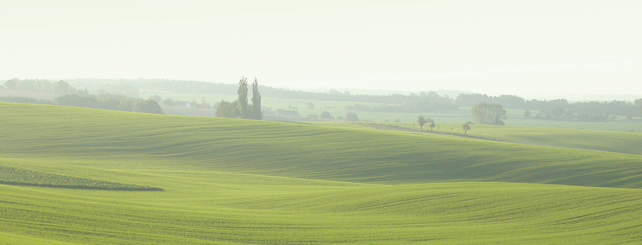 76C63BDF-E799-4A19-A08E-3E7958D799E3_1_201_a