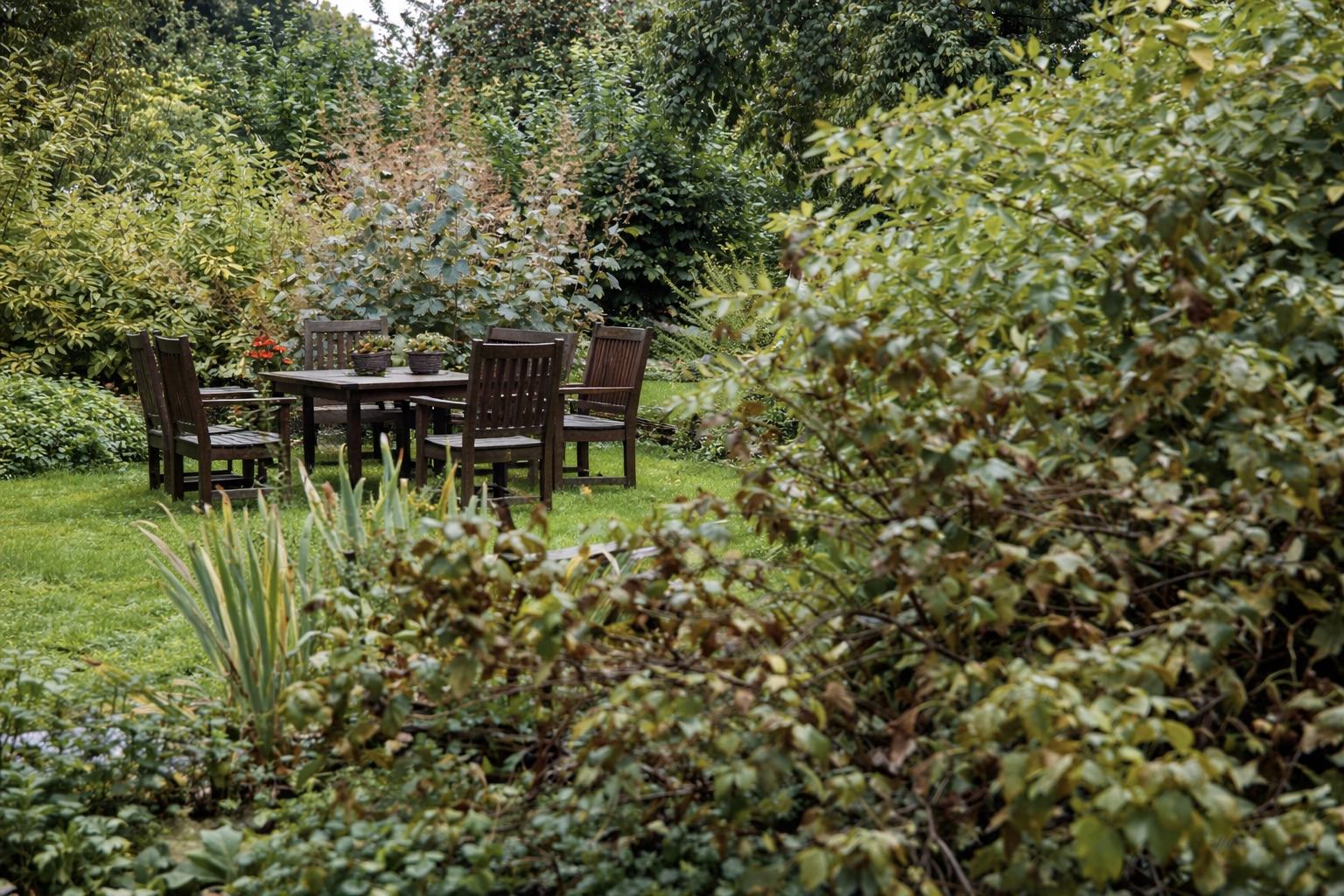 94C4AFC2-2857-49E3-88D4-7E4C4FD05F48_1_201_a